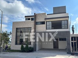 4 침실 주택을(를) Xalapa, 베라 크루즈에서 판매합니다., Xalapa