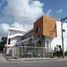 1 Bedroom Condo for rent in Cozumel, Quintana Roo, Cozumel, Quintana Roo
