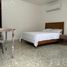 1 Schlafzimmer Wohnung zu vermieten in Monterrey, Nuevo Leon, Monterrey