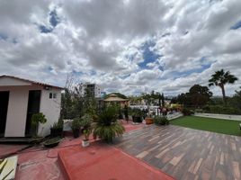 3 Schlafzimmer Haus zu vermieten in San Luis Potosi, San Luis Potosi, San Luis Potosi, San Luis Potosi