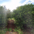  Land for sale in Merida, Yucatan, Merida