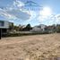  Land for sale in Zapopan, Jalisco, Zapopan, Jalisco