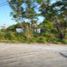  Land for rent in Reynosa, Tamaulipas, Reynosa, Tamaulipas
