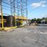  Grundstück zu vermieten in Reynosa, Tamaulipas, Reynosa