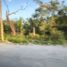  Land for rent in Reynosa, Tamaulipas, Reynosa, Tamaulipas