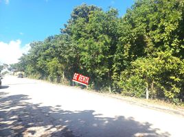  Land for rent in Cancun, Quintana Roo, Cancun