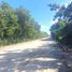 Land for rent in Cancun, Quintana Roo, Cancun