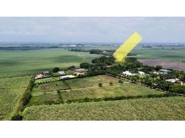  Land for sale in Palmira, Valle Del Cauca, Palmira