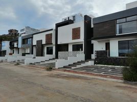 미코 아칸PropertyTypeNameBedroom, 모렐리 아, 미코 아칸