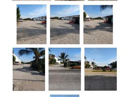  Terreno (Parcela) en alquiler en Guerrero, Acapulco, Guerrero