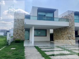 在Jalpa De Mendez, Tabasco出租的4 卧室 屋, Jalpa De Mendez