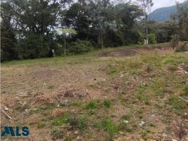  Terreno (Parcela) en venta en La Ceja, Antioquia, La Ceja