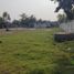 Land for rent in Panuco Veracruz, Panuco
