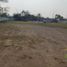  Land for rent in Panuco Veracruz, Panuco