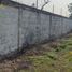  Land for rent in Panuco Veracruz, Panuco