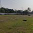  Land for rent in Panuco Veracruz, Panuco