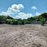  Land for rent in Cotaxtla, Veracruz, Cotaxtla