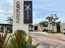 在Progreso, Yucatan出售的4 卧室 别墅, Progreso
