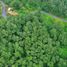  Terreno (Parcela) en venta en Xico, Veracruz, Xico
