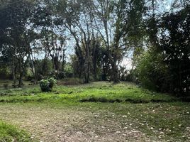  Grundstück zu verkaufen in Xico, Veracruz, Xico