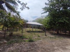  Grundstück zu verkaufen in Othon P Blanco, Quintana Roo, Othon P Blanco