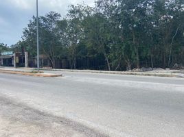  Grundstück zu verkaufen in Cozumel, Quintana Roo, Cozumel