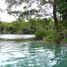  Land for sale in Bocas Del Toro, Guabito, Changuinola, Bocas Del Toro