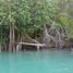  Land for sale in Bocas Del Toro, Guabito, Changuinola, Bocas Del Toro