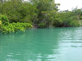  Terreno (Parcela) en venta en Panamá, Guabito, Changuinola, Bocas del Toro, Panamá