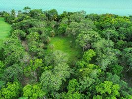  Grundstück zu verkaufen in Othon P Blanco, Quintana Roo, Othon P Blanco