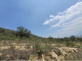  Terreno (Parcela) en venta en Santiago, Nuevo León, Santiago