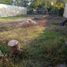  Terreno (Parcela) en alquiler en Altamira, Tamaulipas, Altamira, Tamaulipas