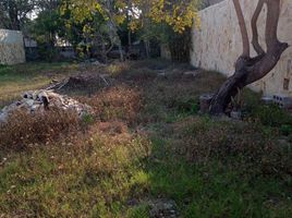  Terreno (Parcela) en alquiler en Altamira, Tamaulipas, Altamira, Tamaulipas