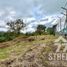  Land for sale in Totoro, Cauca, Totoro