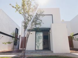 구아나후토PropertyTypeNameBedroom, 레온, 구아나후토