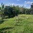 Studio Villa for sale in Circasia, Quindio, Circasia