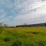  Land for rent in Rio Bravo, Tamaulipas, Rio Bravo
