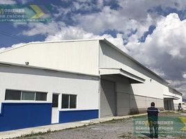 1,000 m2 Office for rent in Puebla, Cuautlancingo, Puebla