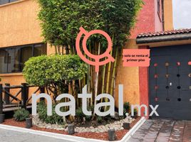 162 m2 Office for rent in Puebla, San Andres Cholula, Puebla