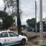  Terreno (Parcela) en alquiler en Cuautla, Morelos, Cuautla, Morelos