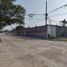  Land for rent in Panuco Veracruz, Panuco