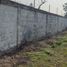  Land for rent in Panuco Veracruz, Panuco