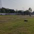  Land for rent in Panuco Veracruz, Panuco