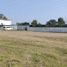  Land for rent in Panuco Veracruz, Panuco