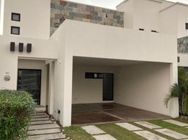 3 Habitación Casa en alquiler en Jalpa De Mendez, Tabasco, Jalpa De Mendez