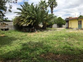  Grundstück zu verkaufen in Cadereyta Jimenez, Nuevo Leon, Cadereyta Jimenez