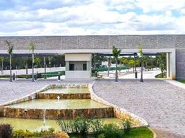  Terreno (Parcela) en venta en Yucatán, Merida, Yucatán
