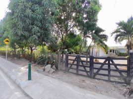  Land for sale in Monteria, Cordoba, Monteria