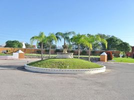 Maison 4 chambre à vendre à Conkal, Yucatan, Conkal