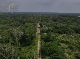 Terrain à vendre à Tlalnelhuayocan, Veracruz, Tlalnelhuayocan